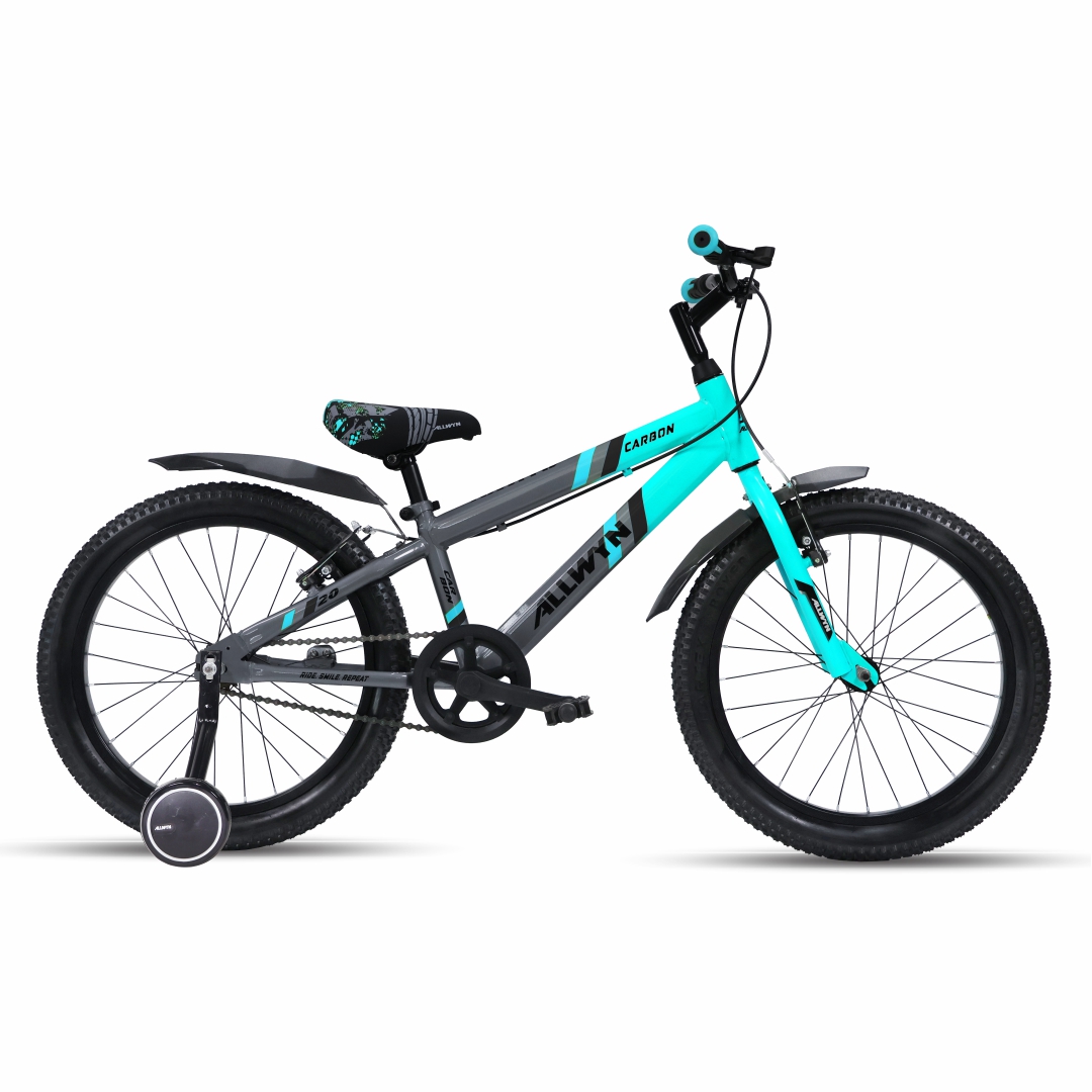 Carbon 20T
